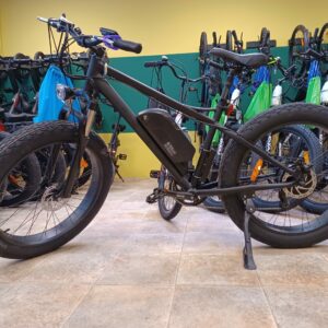 The Explorer 750w Bafang Motor Electric Bicycle